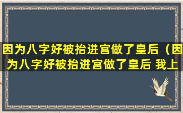 因为八字好被抬进宫做了皇后（因为八字好被抬进宫做了皇后 我上位没多久）